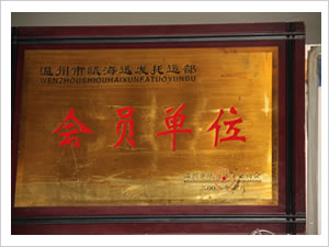 &#33521;&#22269;&#19978;&#24066;&#20844;&#21496;&#23448;&#32593;&#51;&#54;&#53;&#40;&#20013;&#22269;&#41;&#32929;&#20221;&#26377;&#38480;&#20844;&#21496;